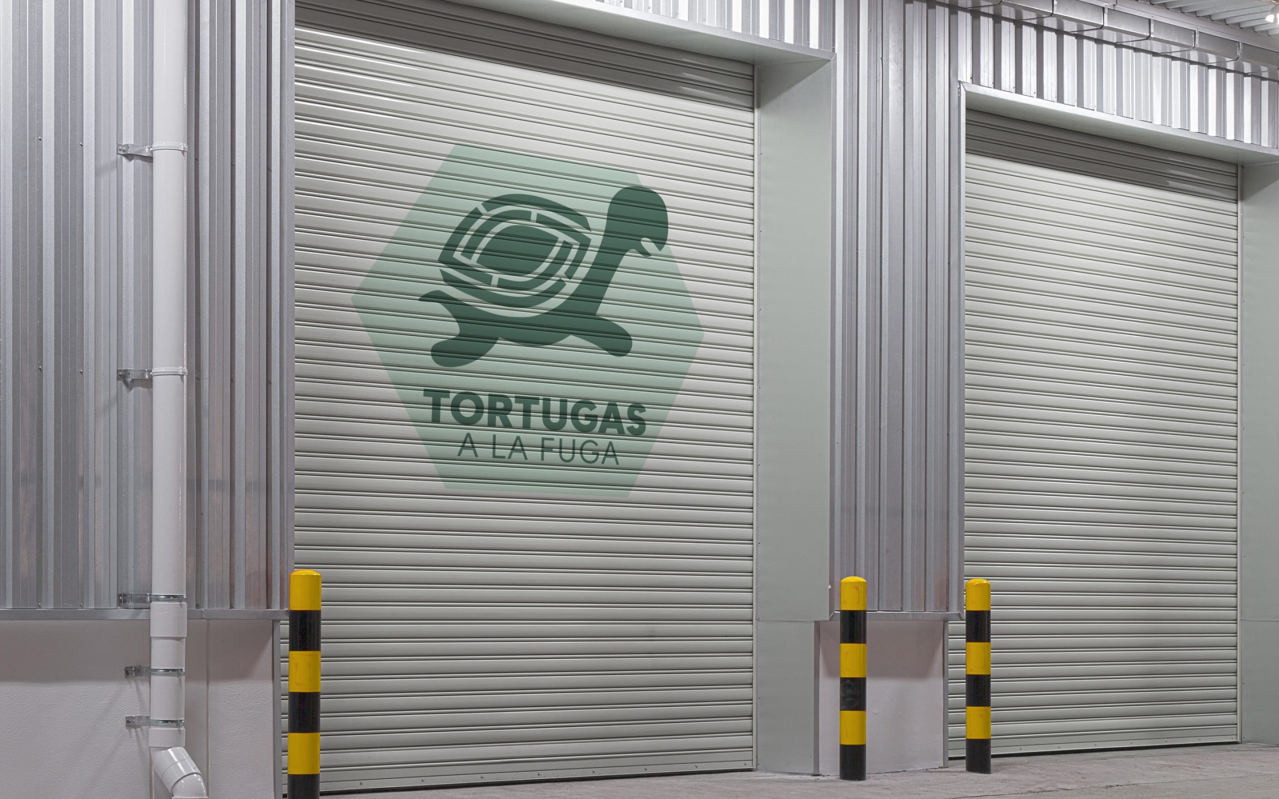 Diseño de Logotipo para el Escaperoom "Tortugas a la Fuga" en Alicante hecho por LyBe Creators